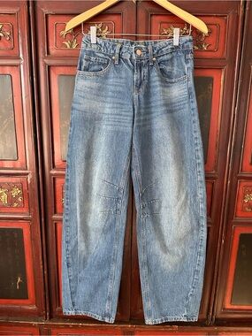 Wild Fable Barrel Jeans